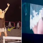 Taylor Momsen Bitten by Bat Onstage During Pretty Reckless Concert in Spain